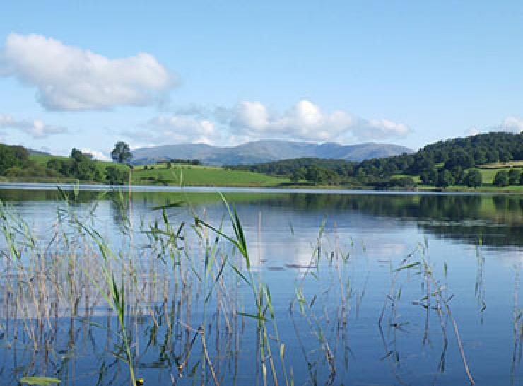 Water quality. Esthwaite - Photo: Ellie MacKay