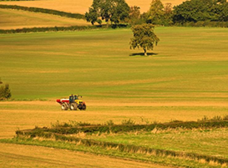 A tractor on farmland with hedgerows   Picture: Shutterstock